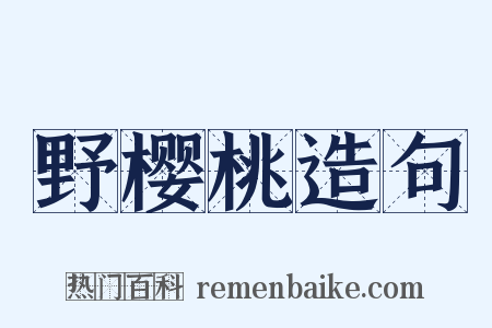 野樱桃造句是什么意思的图片